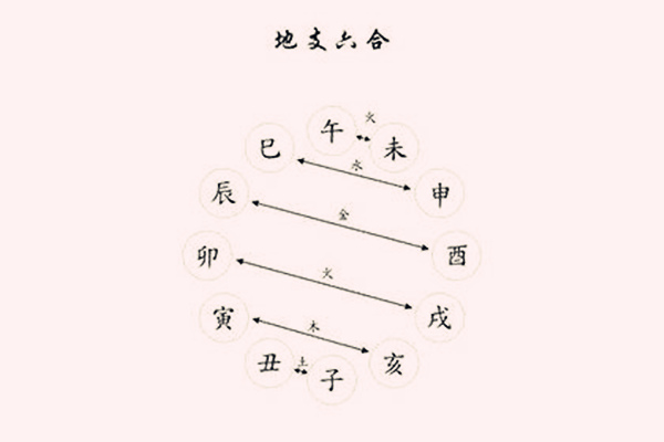 八字地支相合的命理